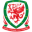 Wales U19