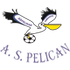 AS Pélican logo