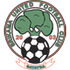 Brikama United logo