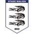 Stade Malien logo