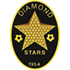 Diamond Stars logo