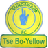 Sandawana FC logo