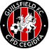 Guilsfield FC logo