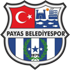 Payasspor