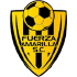 Fuerza Amarilla SC